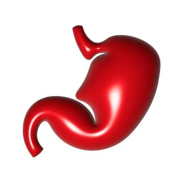 Red 3D model of a human stomach on a white background. The design features a smo Stock Illustration