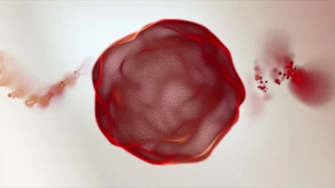 Red 3D sphere on a white background. Close-up. Macroscopic particles of the.. 스톡 동영상 333693158