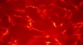 Red abstract background with natural water caustics HD Footage