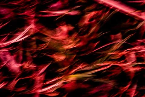 Red abstract blur wave motion background Stock Photos