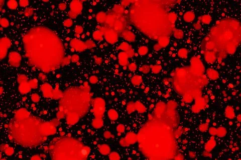 Red abstract bubbles pattern with liquid droplets on dark background for Stock Illustration
