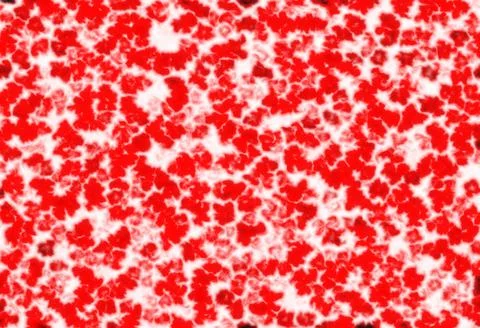 Red abstract design elements on white background, colorful backdrop backgroun Illustrazione stock