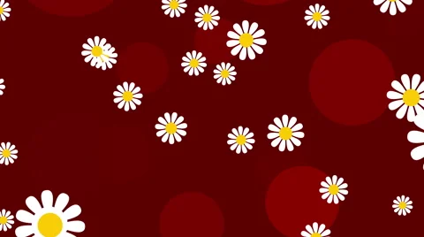 Red abstract loop motion background, flower Stock Footage 49213343