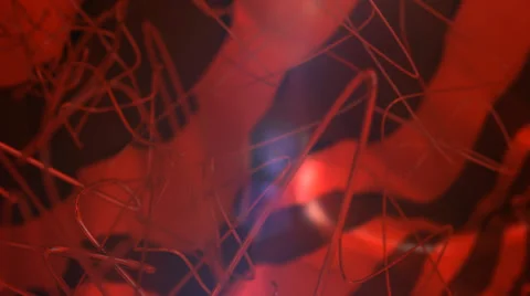 Red abstract motion background Stock Footage 39336774