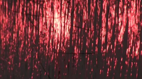 Red abstract motion with narrow vertical bands of light, pink, orange, gold Video stock 273714927