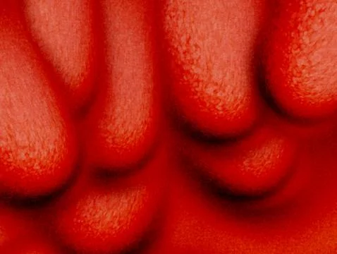 Red Abstract Organic Texture Close-Up Background With Bulbous Shapes And Dr.. Stock Illustration