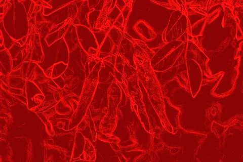 Red abstract pattern. Plant silhouettes. View from the front. Stock-Illustration