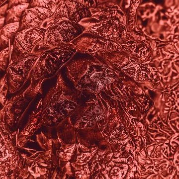 Red abstract pine cone texture with molten metallic effect Stock Photos