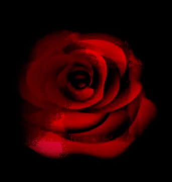 Red abstract rose Stock Illustration