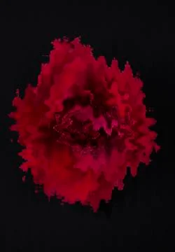 Red abstract rose Stock Photos