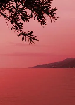 Red abstraction Stock Photos