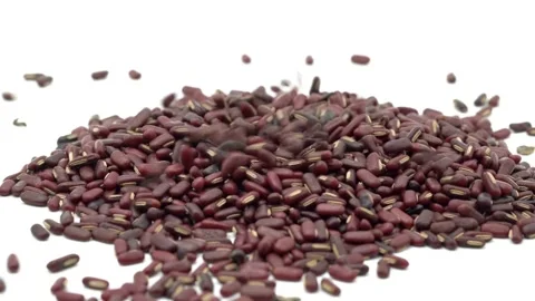 Red adzuki beans falling on pile with white background Stock Footage 333114294