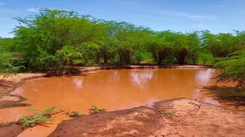 A red African road after rain. Kenya. Vidéo 340093656