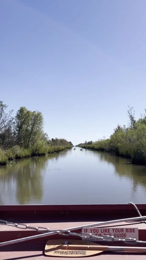 Red airboat bow moving through Louisiana swamp waterway Vídeos de archivo 327547714