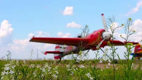 Red airplane in a wildflower field. Stock Footage 341107670