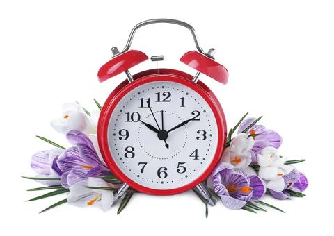 Red alarm clock and spring flowers on white background. Time change 스톡 사진