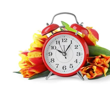 Red alarm clock and spring flowers on white background. Time change 写真素材