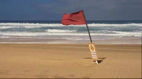 Red alert flag on the ocean beach waving in the wind. Video stock 104970014