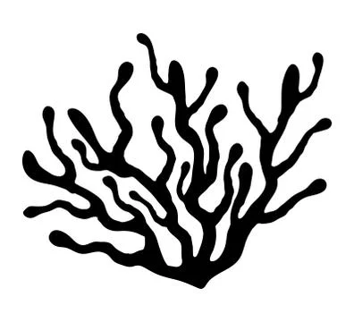 Red algae silhouette vector symbol icon design. Beautiful illustration isolat Illustrazione stock