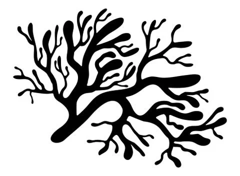 Red algae silhouette vector symbol icon design. Beautiful illustration isolat Stock Illustration