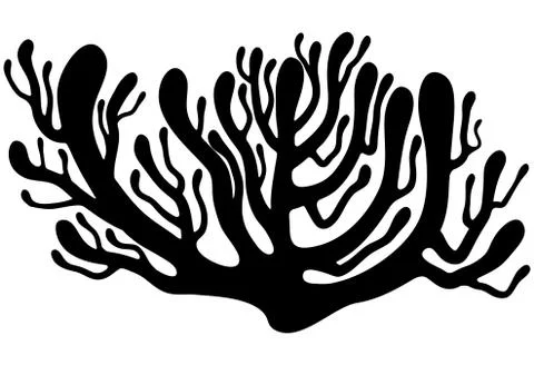 Red algae silhouette vector symbol icon design. Beautiful illustration isolat Stock Illustration