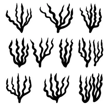 Red algae silhouette vector symbol icon design. Beautiful illustration isolat Stock Illustration