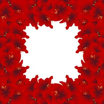 Red Amaryllis Border2 Stock Illustration