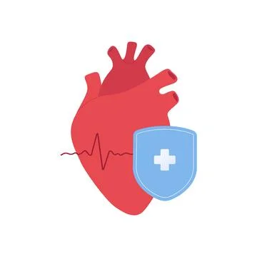 Red anatomilcal heart with blue shield symbol Stock Illustration