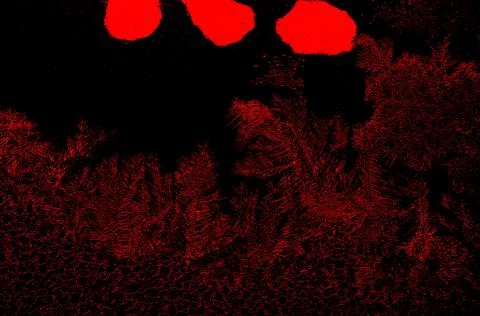 Red and black abstract background 11 Stock Illustration