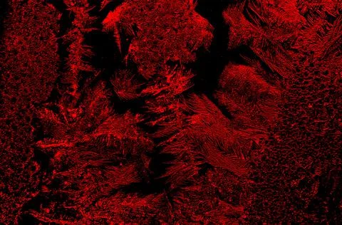 Red and black abstract background 12 Stock Illustration