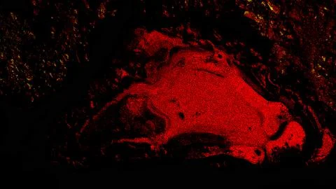 Red and black background Foto stock