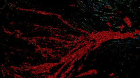 Red and black background Stock Photos