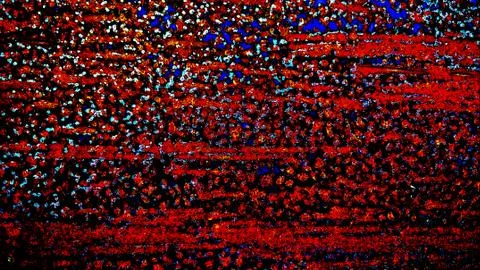 Red and black background Stock Photos