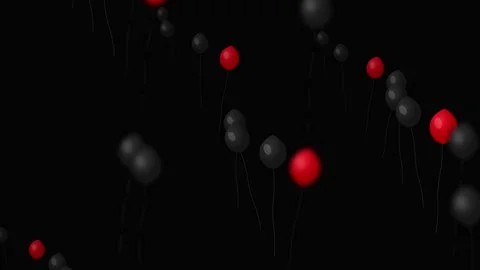 Red and Black Balloons Floating Upwards Stock Footage 344207546