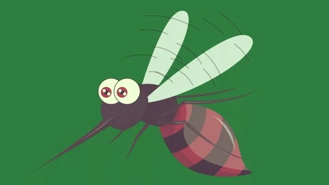 A red and black insect on green background an ant with Stock Footage 337029384