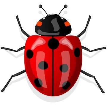 Red and black ladybug isolated Stock Illustration
