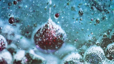 Red and blue bubbles of oil in water resemble a winter landscape Stock Footage 144909903