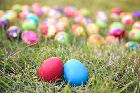 Red and blue easter hen eggs in the grass Stock Photos