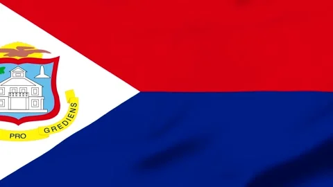Red and blue flag with white emblem and yellow text Stock Footage 343317342