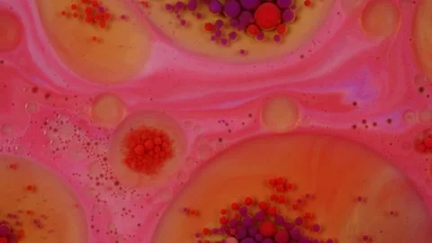 Red and Blue Mixing Creates Vivid Textures with Paint and Oil Bubbles Stock Footage 279565027