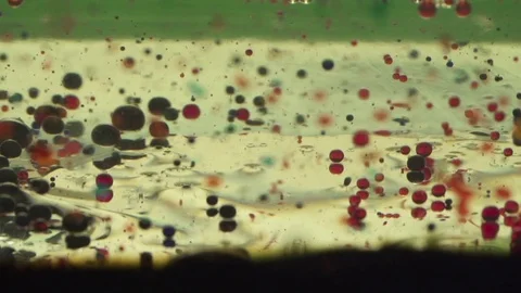 Red and Blue Molecules Floating Stock Footage 77780274