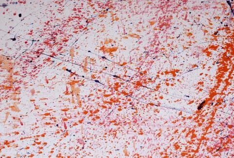 Red and blue paint splashes on grunge wall. Abstract hand painted backdrop for Stock Photos