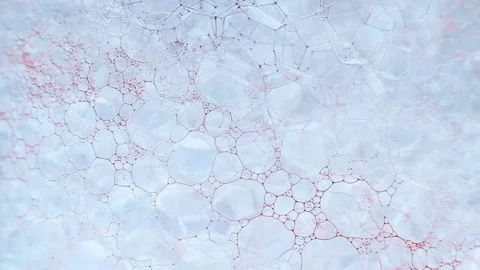 Red and blue particles flowinng throught the pattern made of bubbles Stock Footage 127867697