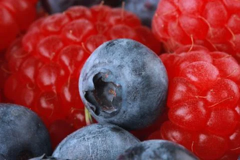 Red and blue Stock Photos
