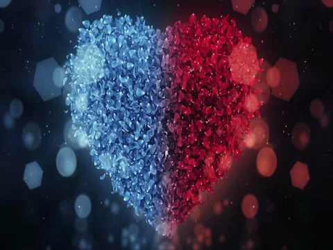 Red and Blue Rose Flower Petals In Lovely Heart Shape Background Loop 4k Stock Footage 71780700