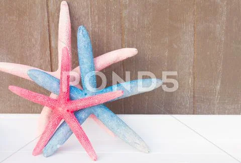 Red And Blue Starfish On Wooden Board