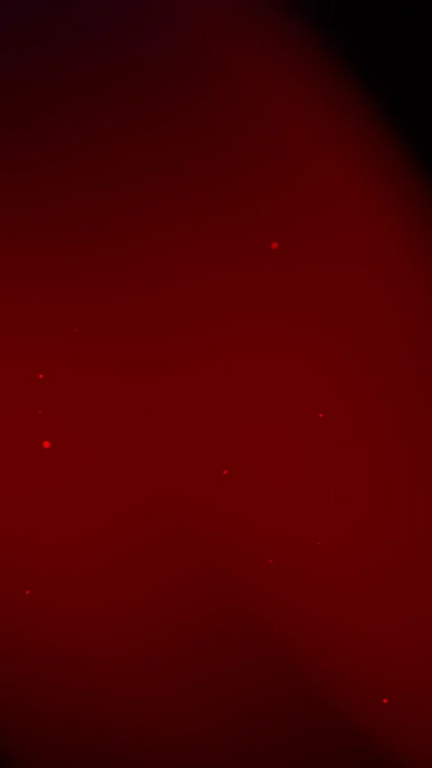Red and blue vertical gradient background with red dots. Stock Footage 306504817