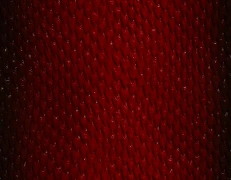 Red and deep red gradient snake skin pattern, long sharp scale 스톡 일러스트