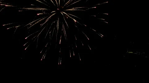 Red and Gold Fireworks Bloom Against Black Sky, 4K Stock Footage 201128909
