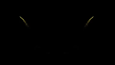 Red and gold straight side Video stock 311079356